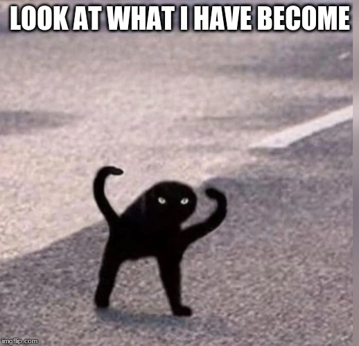 Cursed Cat | LOOK AT WHAT I HAVE BECOME | image tagged in cursed cat | made w/ Imgflip meme maker