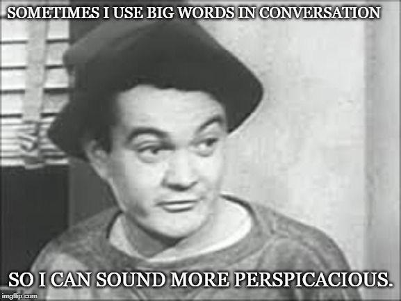 SOMETIMES I USE BIG WORDS IN CONVERSATION; SO I CAN SOUND MORE PERSPICACIOUS. | image tagged in slip mahoney | made w/ Imgflip meme maker