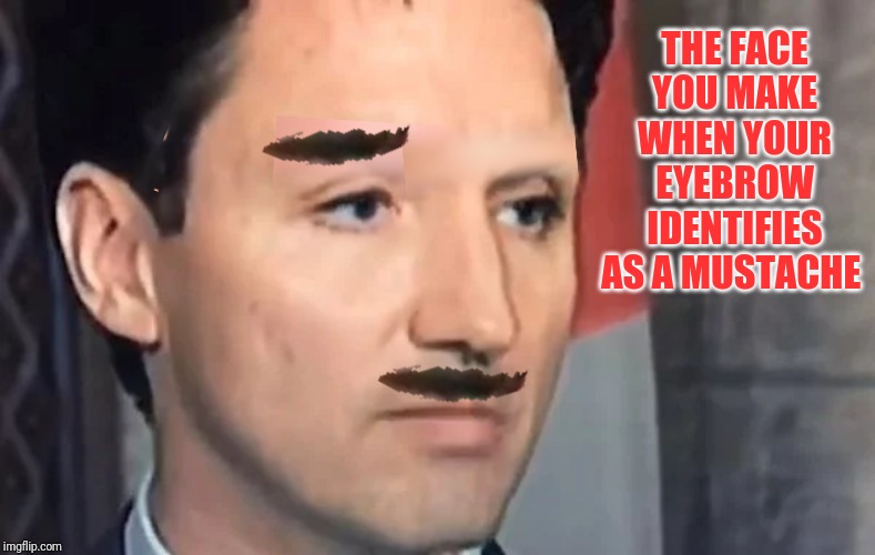 THE FACE YOU MAKE WHEN YOUR EYEBROW IDENTIFIES AS A MUSTACHE | made w/ Imgflip meme maker