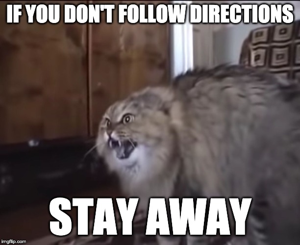 Hissing cat | IF YOU DON'T FOLLOW DIRECTIONS; STAY AWAY | image tagged in hissing cat,it's on the syllabus,bad students,prof problems | made w/ Imgflip meme maker