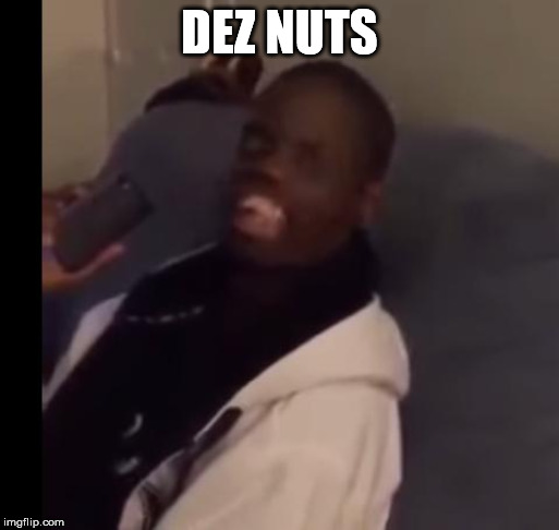 Dez Nuts | DEZ NUTS | image tagged in dez nuts | made w/ Imgflip meme maker
