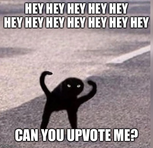 Cursed Cat begging for upvotes | HEY HEY HEY HEY HEY HEY HEY HEY HEY HEY HEY HEY; CAN YOU UPVOTE ME? | image tagged in cursed cat,memes | made w/ Imgflip meme maker