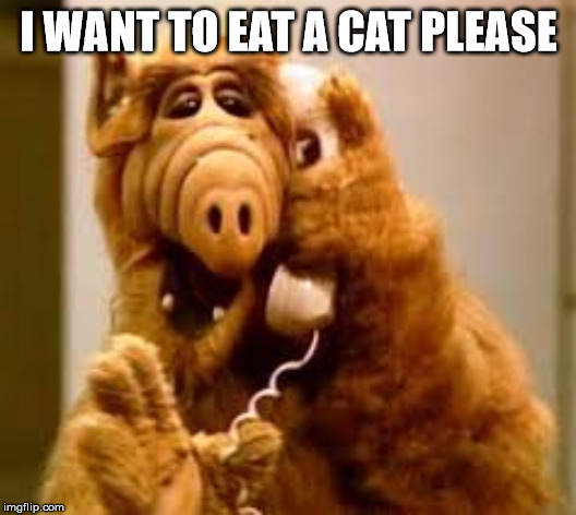 alf | I WANT TO EAT A CAT PLEASE | image tagged in alf | made w/ Imgflip meme maker