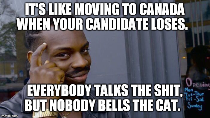 Roll Safe Think About It Meme | IT'S LIKE MOVING TO CANADA WHEN YOUR CANDIDATE LOSES. EVERYBODY TALKS THE SHIT, BUT NOBODY BELLS THE CAT. | image tagged in memes,roll safe think about it | made w/ Imgflip meme maker