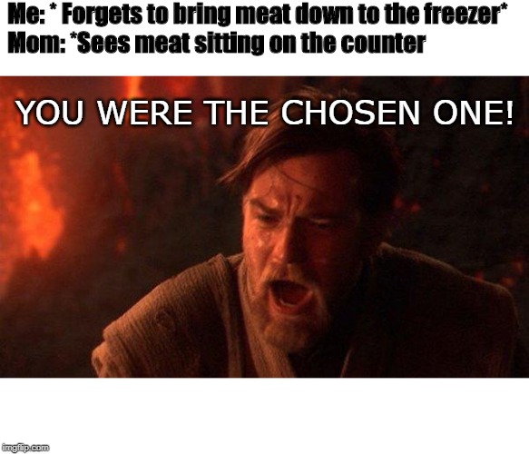 You Were The Chosen One (Star Wars) Meme | Me: * Forgets to bring meat down to the freezer*
Mom: *Sees meat sitting on the counter; YOU WERE THE CHOSEN ONE! | image tagged in memes,you were the chosen one star wars | made w/ Imgflip meme maker