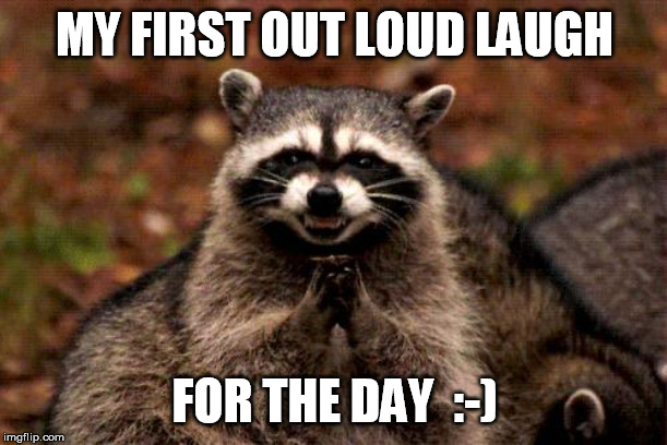 Evil Plotting Raccoon Meme | MY FIRST OUT LOUD LAUGH FOR THE DAY  :-) | image tagged in memes,evil plotting raccoon | made w/ Imgflip meme maker