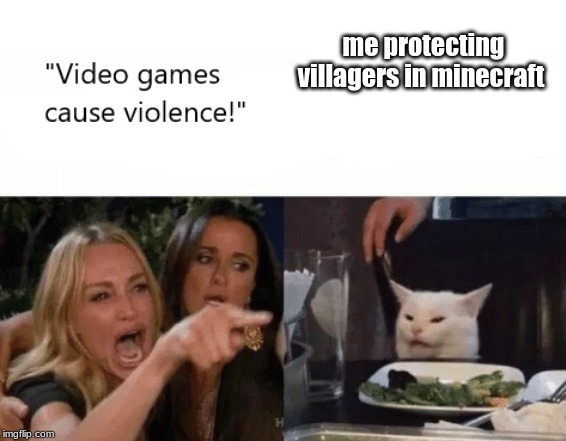 Video Games Cause Violence | me protecting villagers in minecraft | image tagged in video games cause violence | made w/ Imgflip meme maker