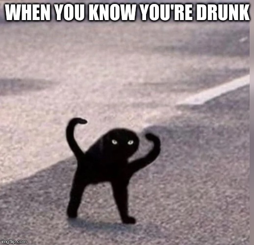 Cursed Cat | WHEN YOU KNOW YOU'RE DRUNK | image tagged in cursed cat | made w/ Imgflip meme maker