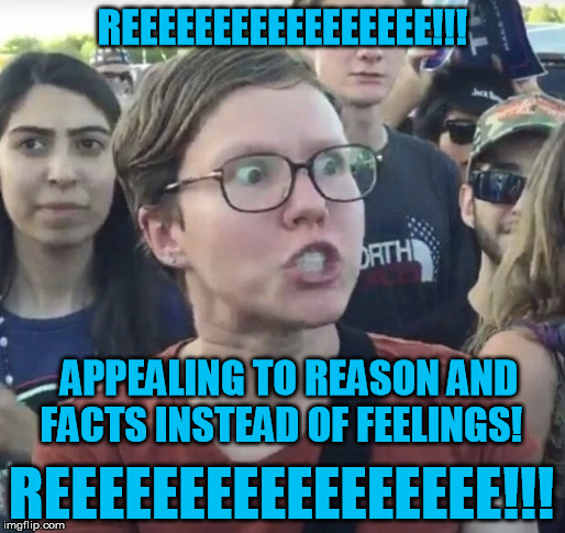 Triggered feminist | REEEEEEEEEEEEEEEEE!!! REEEEEEEEEEEEEEEEE!!! APPEALING TO REASON AND FACTS INSTEAD OF FEELINGS! | image tagged in triggered feminist | made w/ Imgflip meme maker