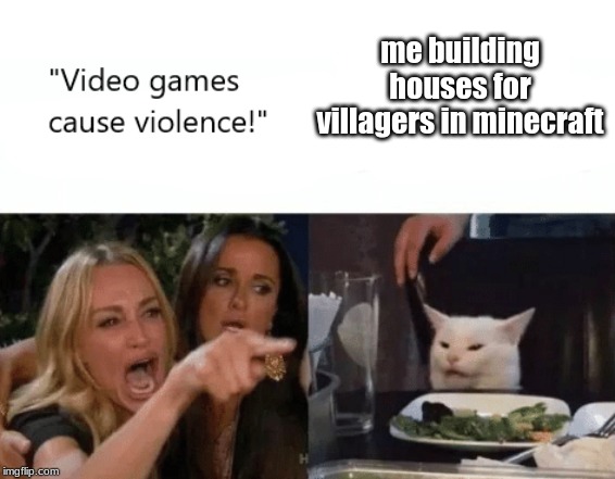 Video Games Cause Violence | me building houses for villagers in minecraft | image tagged in video games cause violence | made w/ Imgflip meme maker