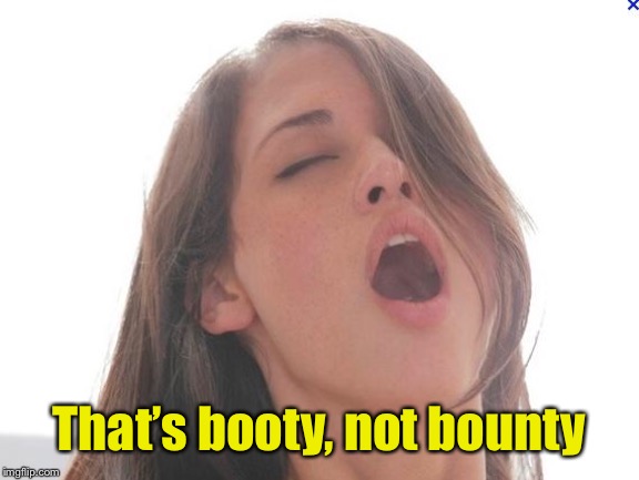 orgasm | That’s booty, not bounty | image tagged in orgasm | made w/ Imgflip meme maker
