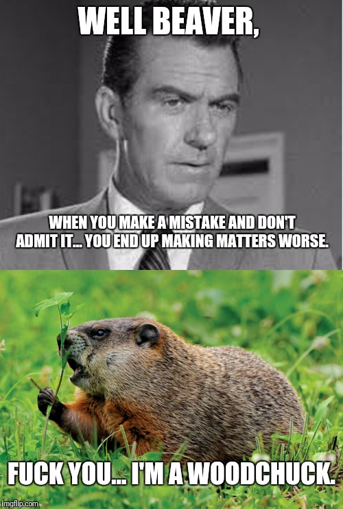 What's the difference anyway? | WELL BEAVER, WHEN YOU MAKE A MISTAKE AND DON'T ADMIT IT... YOU END UP MAKING MATTERS WORSE. FUCK YOU... I'M A WOODCHUCK. | image tagged in leave it to beaver,woodchuck | made w/ Imgflip meme maker