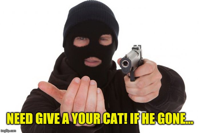 ъеъ | NEED GIVE A YOUR CAT! IF HE GONE... | made w/ Imgflip meme maker
