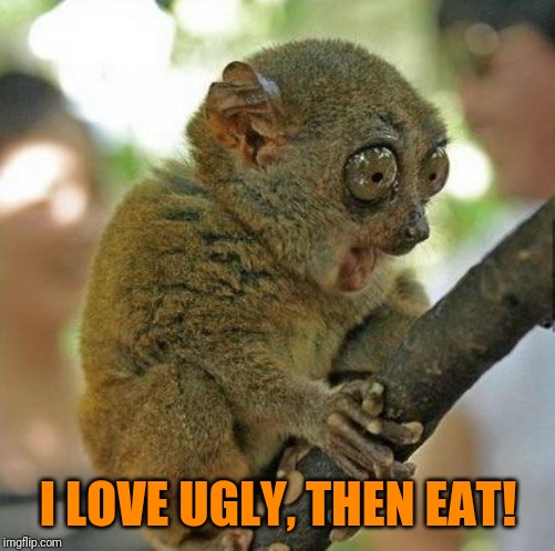 Oh my God!! | I LOVE UGLY, THEN EAT! | image tagged in oh my god | made w/ Imgflip meme maker