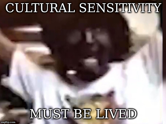 CULTURAL SENSITIVITY MUST BE LIVED | made w/ Imgflip meme maker