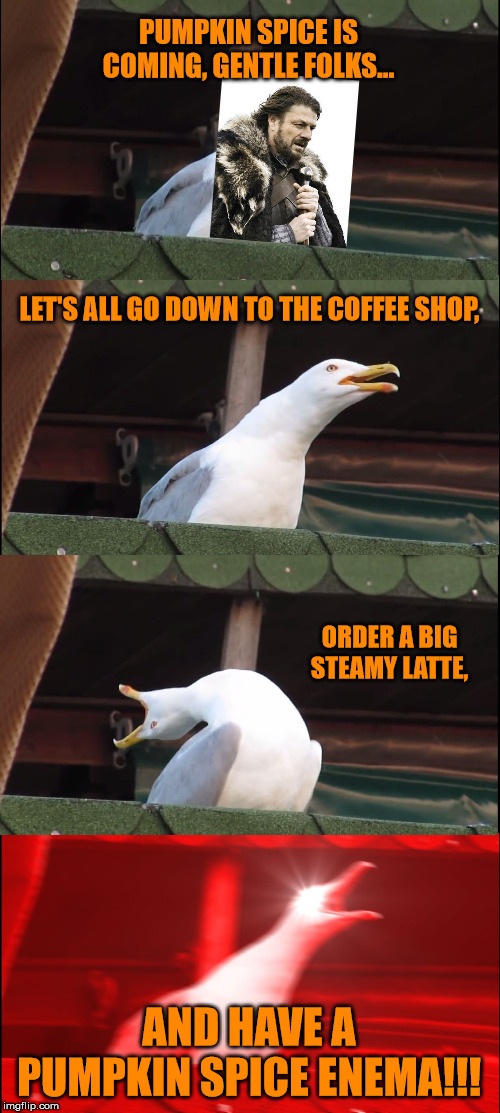 Don't stop until you cry orange | PUMPKIN SPICE IS COMING, GENTLE FOLKS... LET'S ALL GO DOWN TO THE COFFEE SHOP, ORDER A BIG STEAMY LATTE, AND HAVE A PUMPKIN SPICE ENEMA!!! | image tagged in memes,inhaling seagull,pumpkin spice,coffee,hobbies,autumn | made w/ Imgflip meme maker