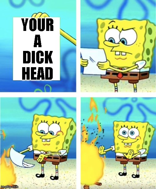 Spongebob Burning Paper | YOUR A DICK HEAD | image tagged in spongebob burning paper | made w/ Imgflip meme maker