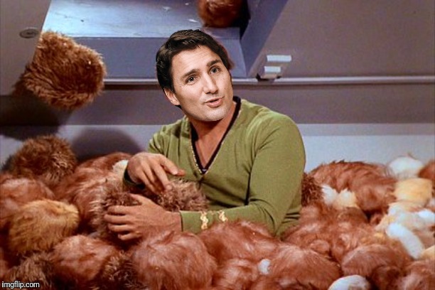 High Quality Justin Trudeau Tribbles Blank Meme Template