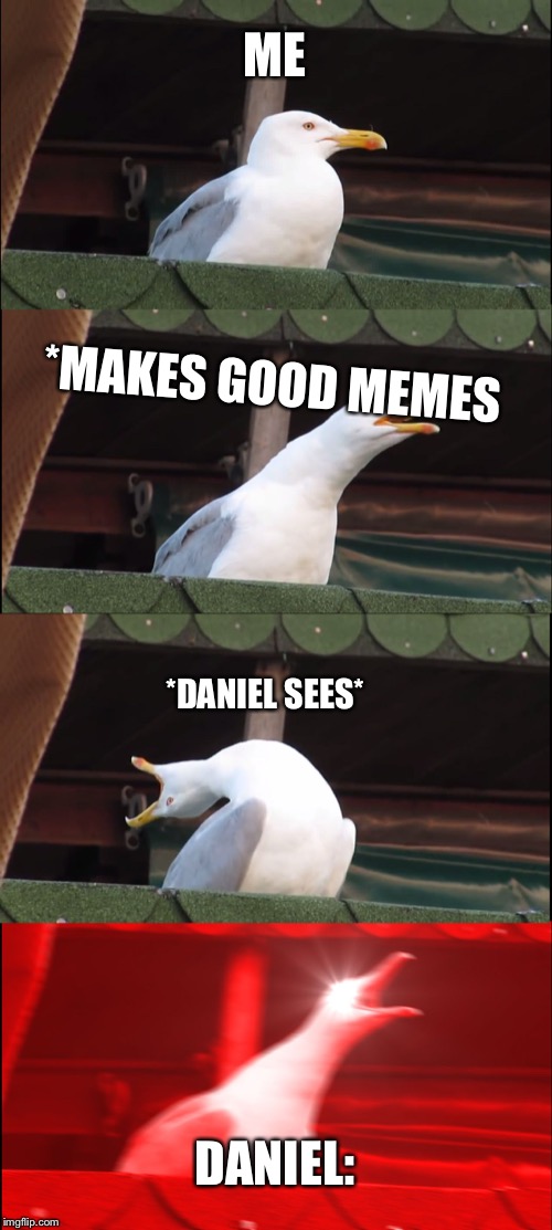 Inhaling Seagull | ME; *MAKES GOOD MEMES; *DANIEL SEES*; DANIEL: | image tagged in memes,inhaling seagull | made w/ Imgflip meme maker