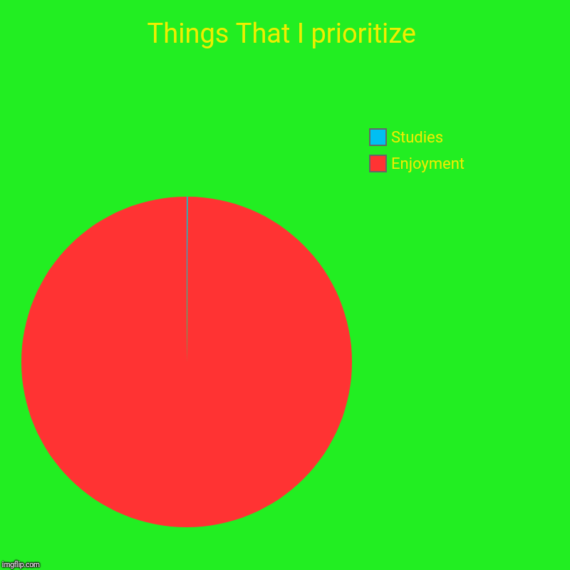 Things That I prioritize | Enjoyment, Studies | image tagged in charts,pie charts | made w/ Imgflip chart maker