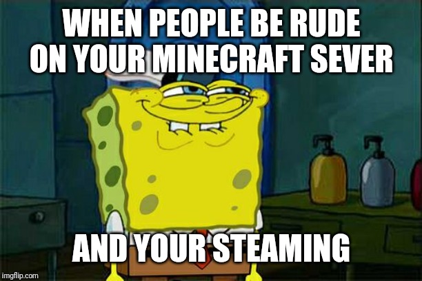 Don't You Squidward Meme | WHEN PEOPLE BE RUDE ON YOUR MINECRAFT SEVER; AND YOUR STEAMING | image tagged in memes,dont you squidward | made w/ Imgflip meme maker