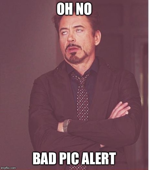 Face You Make Robert Downey Jr | OH NO; BAD PIC ALERT | image tagged in memes,face you make robert downey jr | made w/ Imgflip meme maker