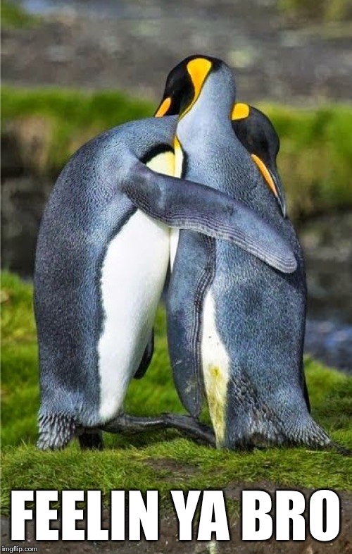 FEELIN YA BRO | made w/ Imgflip meme maker