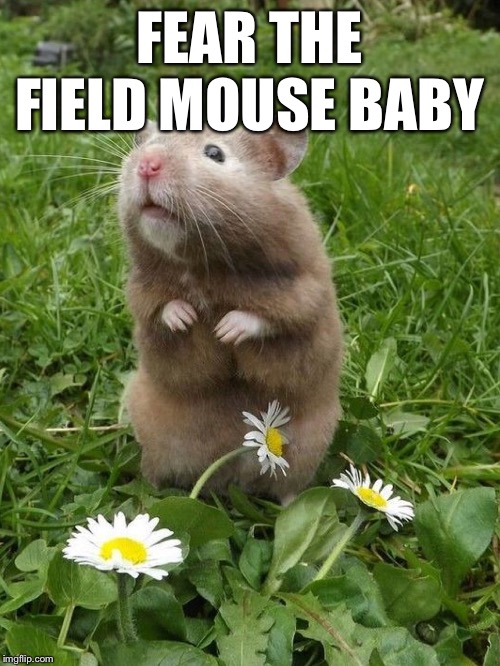 FEAR THE FIELD MOUSE BABY | made w/ Imgflip meme maker