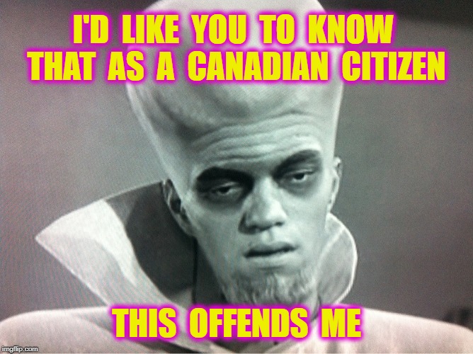 I'D  LIKE  YOU  TO  KNOW  THAT  AS  A  CANADIAN  CITIZEN THIS  OFFENDS  ME | made w/ Imgflip meme maker