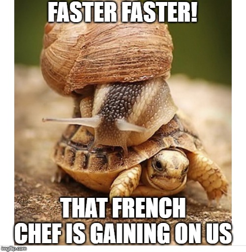 Snail riding turtle | FASTER FASTER! THAT FRENCH CHEF IS GAINING ON US | image tagged in snail riding turtle | made w/ Imgflip meme maker