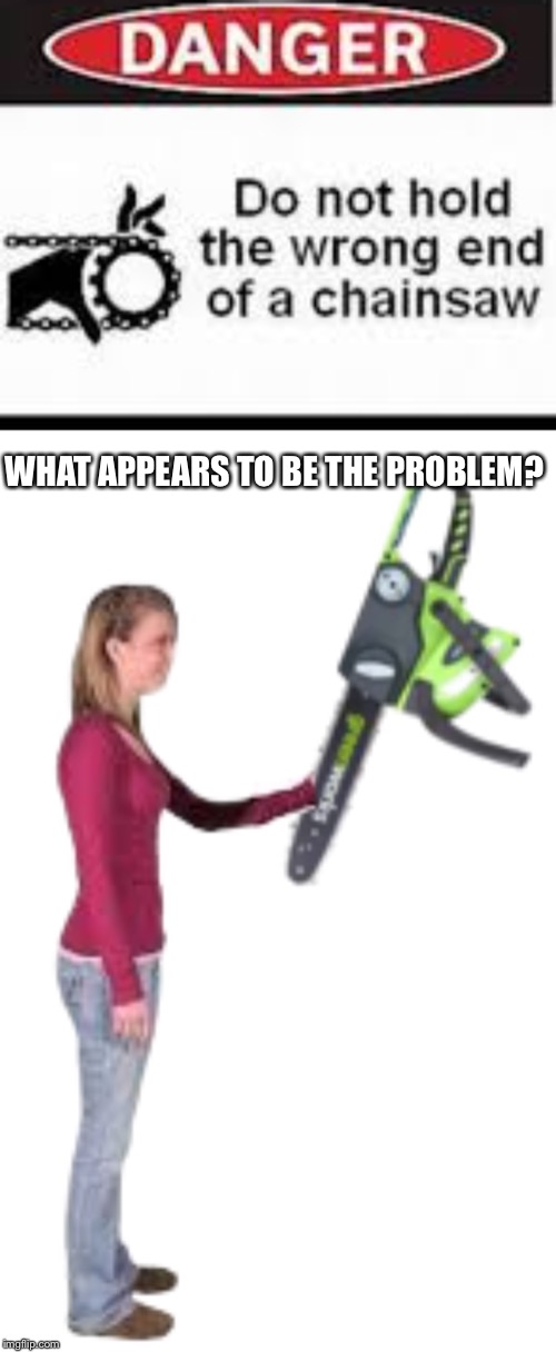Why does this even need to be a thing? | WHAT APPEARS TO BE THE PROBLEM? | image tagged in chainsaw,warning label,stupid people | made w/ Imgflip meme maker