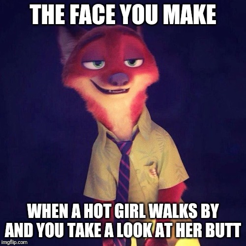 Nick Wilde Approves | THE FACE YOU MAKE; WHEN A HOT GIRL WALKS BY AND YOU TAKE A LOOK AT HER BUTT | image tagged in nick wilde smile,zootopia,nick wilde,the face you make,funny,memes | made w/ Imgflip meme maker