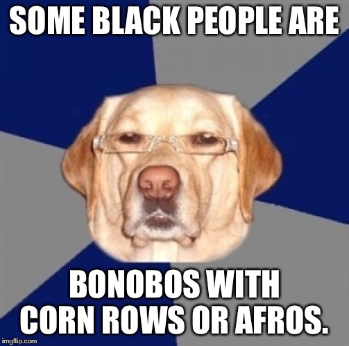 Be careful about showing this to a Black person at the Zoo | SOME BLACK PEOPLE ARE; BONOBOS WITH CORN ROWS OR AFROS. | image tagged in racist dog,monkey,black,corn,hair,memes | made w/ Imgflip meme maker