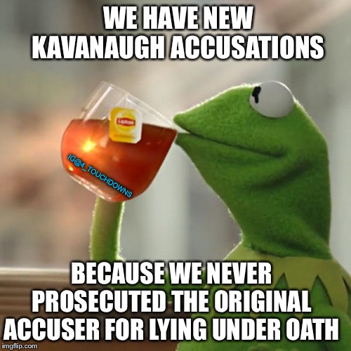 But that’s none of my business... | WE HAVE NEW KAVANAUGH ACCUSATIONS; IG@4_TOUCHDOWNS; BECAUSE WE NEVER PROSECUTED THE ORIGINAL ACCUSER FOR LYING UNDER OATH | image tagged in brett kavanaugh,new york times,fake news | made w/ Imgflip meme maker