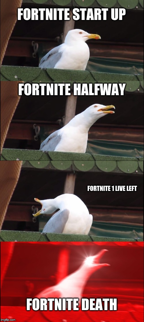 Inhaling Seagull Meme | FORTNITE START UP; FORTNITE HALFWAY; FORTNITE 1 LIVE LEFT; FORTNITE DEATH | image tagged in memes,inhaling seagull | made w/ Imgflip meme maker