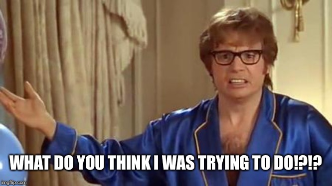 Austin Powers Honestly Meme | WHAT DO YOU THINK I WAS TRYING TO DO!?!? | image tagged in memes,austin powers honestly | made w/ Imgflip meme maker