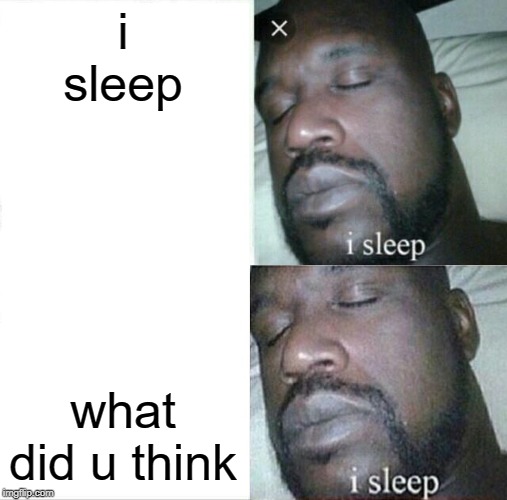 Sleeping Shaq Meme | i sleep; what did u think | image tagged in memes,sleeping shaq | made w/ Imgflip meme maker