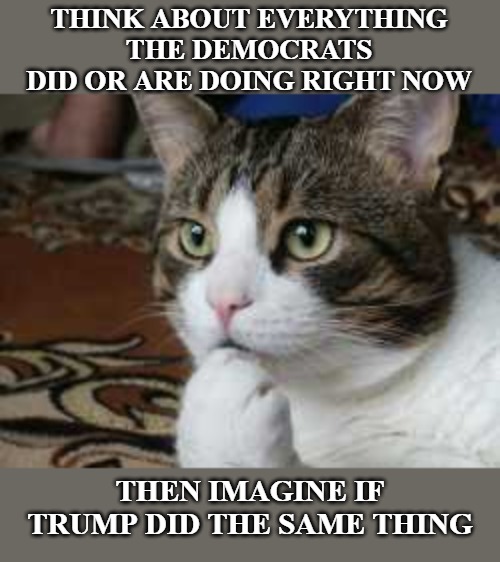 Now tell me how the democrats are allowed to do these things, but Trump wouldn't. | THINK ABOUT EVERYTHING THE DEMOCRATS DID OR ARE DOING RIGHT NOW; THEN IMAGINE IF TRUMP DID THE SAME THING | image tagged in ponder cat,democrats,donald trump | made w/ Imgflip meme maker