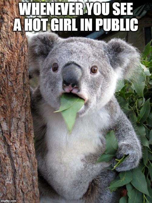Surprised Koala | WHENEVER YOU SEE A HOT GIRL IN PUBLIC | image tagged in memes,surprised koala | made w/ Imgflip meme maker
