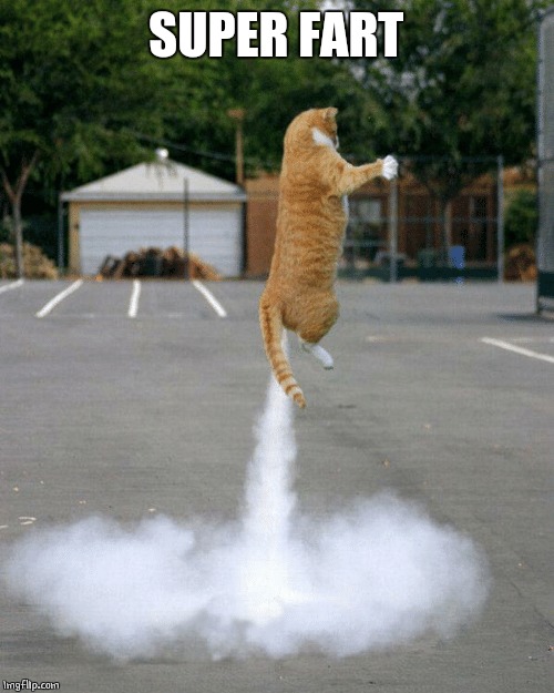 GOING INTO SPACE | SUPER FART | image tagged in cats,fart jokes | made w/ Imgflip meme maker