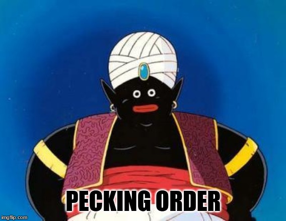 Mr. Popo | PECKING ORDER | image tagged in mr popo | made w/ Imgflip meme maker