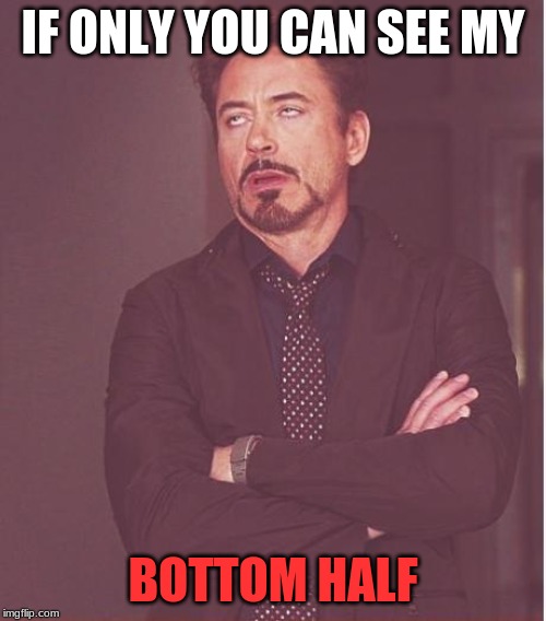 Face You Make Robert Downey Jr | IF ONLY YOU CAN SEE MY; BOTTOM HALF | image tagged in memes,face you make robert downey jr | made w/ Imgflip meme maker