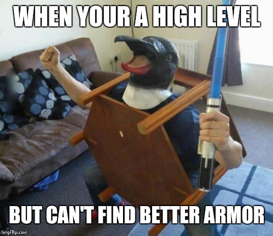 IT'LL WORK | WHEN YOUR A HIGH LEVEL; BUT CAN'T FIND BETTER ARMOR | image tagged in video games,level expert | made w/ Imgflip meme maker