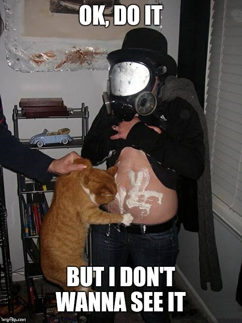 OR SMELL IT | OK, DO IT; BUT I DON'T WANNA SEE IT | image tagged in cats,wtf | made w/ Imgflip meme maker