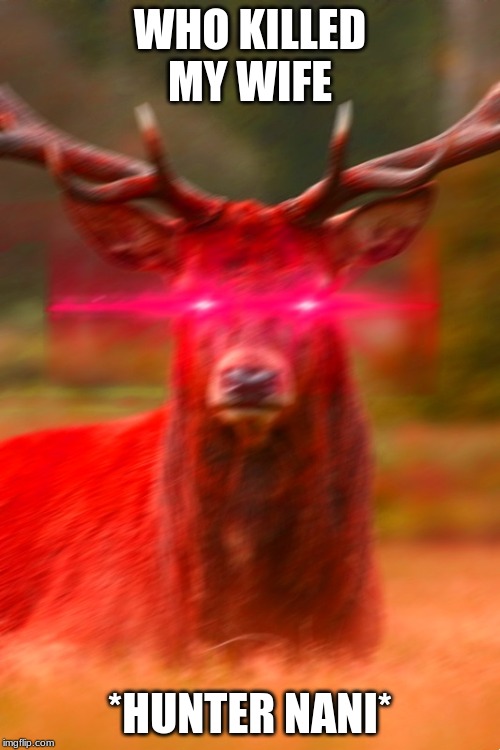 Deer Begone Thot | WHO KILLED MY WIFE; *HUNTER NANI* | image tagged in deer begone thot | made w/ Imgflip meme maker