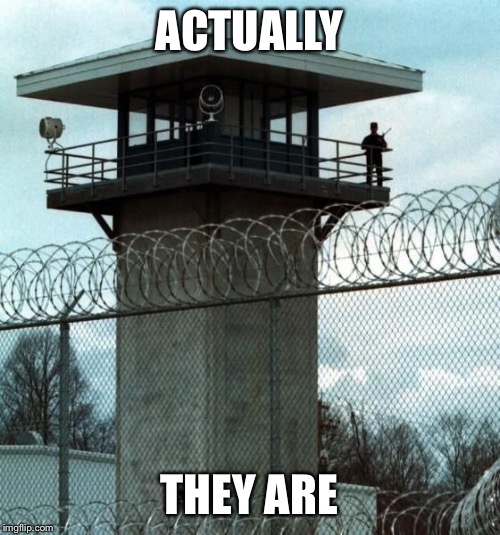 Prison Tower | ACTUALLY THEY ARE | image tagged in prison tower | made w/ Imgflip meme maker