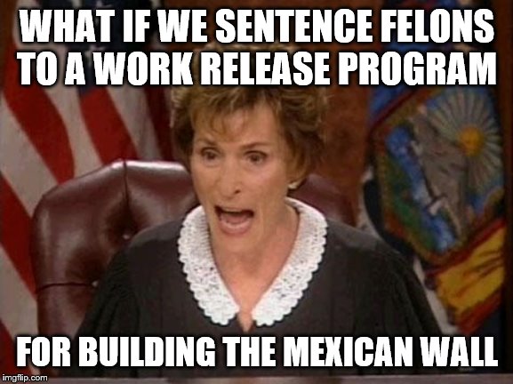 Judge Judy | WHAT IF WE SENTENCE FELONS TO A WORK RELEASE PROGRAM; FOR BUILDING THE MEXICAN WALL | image tagged in judge judy | made w/ Imgflip meme maker