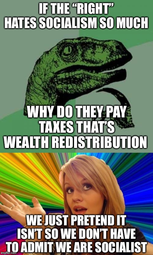 IF THE “RIGHT” HATES SOCIALISM SO MUCH; WHY DO THEY PAY TAXES THAT’S WEALTH REDISTRIBUTION; WE JUST PRETEND IT ISN’T SO WE DON’T HAVE TO ADMIT WE ARE SOCIALIST | image tagged in memes,philosoraptor,dumb blonde | made w/ Imgflip meme maker
