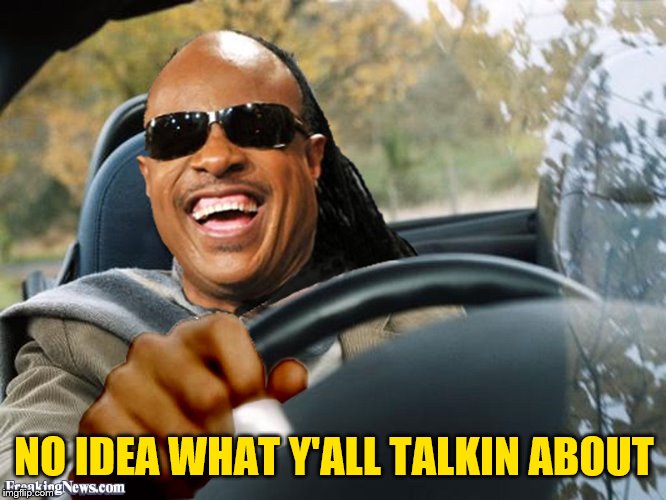 Stevie Wonder Driving | NO IDEA WHAT Y'ALL TALKIN ABOUT | image tagged in stevie wonder driving | made w/ Imgflip meme maker