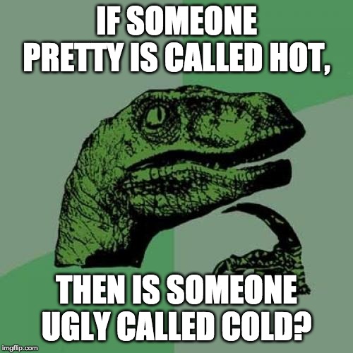 Philosoraptor | IF SOMEONE PRETTY IS CALLED HOT, THEN IS SOMEONE UGLY CALLED COLD? | image tagged in memes,philosoraptor | made w/ Imgflip meme maker